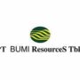 PT Bumi Resources Tbk